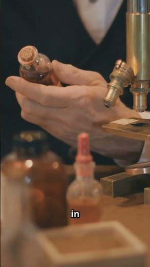 Why Bohemia Matters More Than Ever