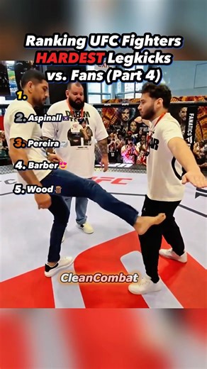 Ranking UFC Fighters HARDEST LEG KICKS vs. FANS ( Part 4 ) 🩸😵🦵#shorts #ufc #mixedmartialartist