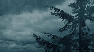 Lightning Strikes Clouds Above Tree Rainstorm Stock Footage Video (100% Royalty-free) 1106775355 | Shutterstock