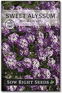 Sow Right Seeds - Royal Carpet Sweet Alyssum Flower Seeds for Planting- Non-GMO Heirloom Packet with Instructions to Plant in Your Garden - Purple Tender Perennial - Groundcover with Tiny Blooms (1)