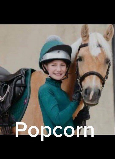 Popcorn the pony