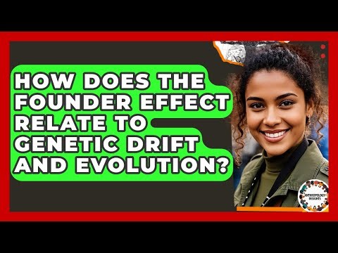 How Does The Founder Effect Relate To Genetic Drift And Evolution? - Anthropology Insights