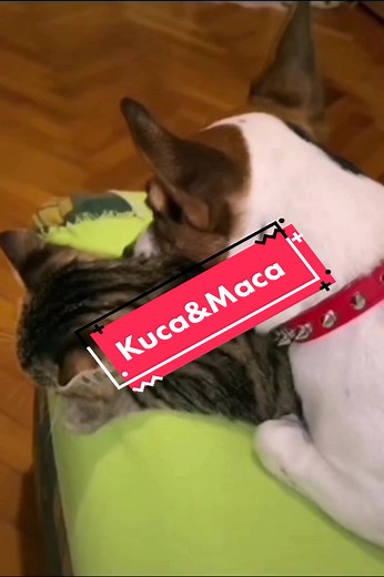 😂😂😂 #time4fun®️ #foryou #fyp