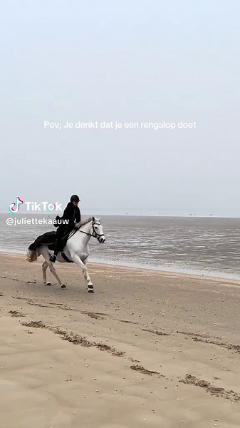HAHA 🥲 #fyp #viral #horse #horsesoftiktok #horsefail #horsegallop #gallopinghorse #beach #blonde
