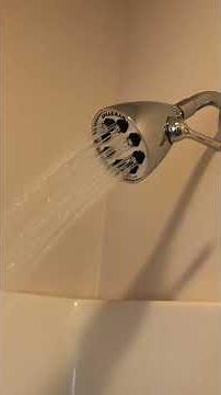 Speakman Icon Brass 8 jet shower head review