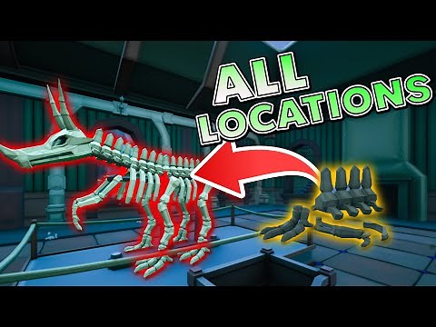 I Found all 64 Bone Locations So You Don't Have To!