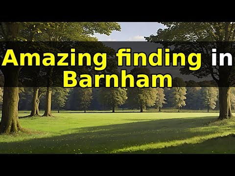 The Amazing Finding in Barnham: The True Story of Fire