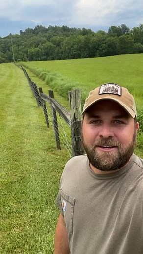 1M views · 54K reactions | This is a monoculture of Big Bluestem used for seed production. Our grasslands should be full of forbs, sedges, and other grasses. Biodiversity creates healthy grasslands! #nativehabitatproject #nativegrasses #beef #grasslands #prairies #conservation | Native Habitat Project | Facebook