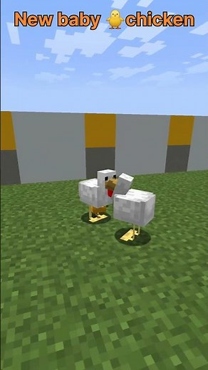 New baby chicken update 🐥#minecraft #shorts
