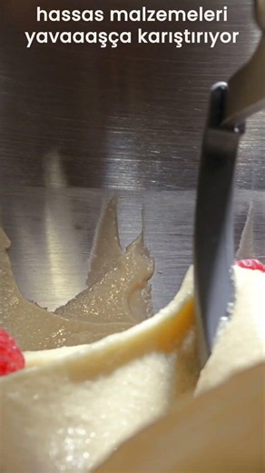 KitchenAid Artisan Plus - 1/2 Hız Ayarı