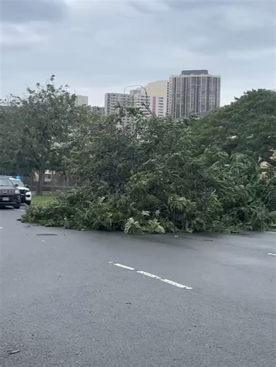 Hawaii News Now on Reels