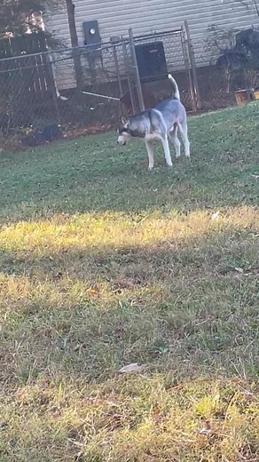 Public Enemy Number One | Eric Henderson