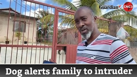 CNC3 News Trinidad and Tobago on Instagram: "Pleasantville homeowner Kirk Pegus faced off with an intruder peeping into his teenage son’s bedroom Tuesday morning. His German Shepherd, Spike, wasn’t holding back. Together, they kept the man at bay until police arrived. Video by Ivan Toolsie."