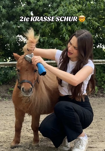 Die Herausforderung der Pony-Schur: 2te KRASSE SCHUR