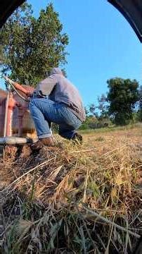 Vineyard Irrigation Day 3 - First Rattlesnake of the season