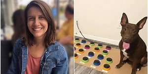 Speech pathologist teaches her dog to use a soundboard and now it communicates in sentences