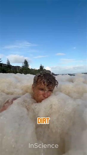 🌊 Why Should You Stay Away from White Sea Foam?
