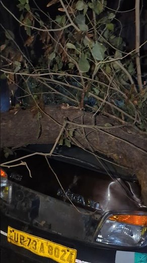 accident of late night ,ped gir gaya daala pe