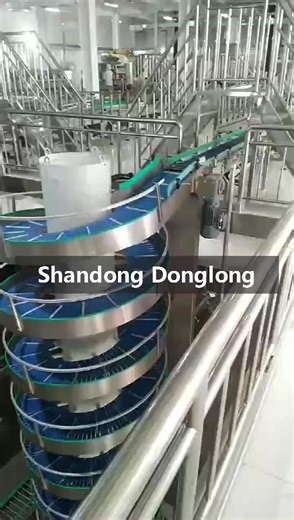 Modular Belt Conveyor Straight Running Conveyor Modular Conveyor Belt