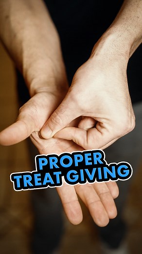 23K views · 731 reactions | Rewarding a puppy or dog with positive...