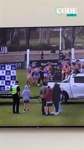 Brawl in Western region footy grand final