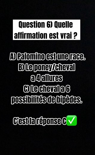 Révision du Galop 3 : Quiz et Astuces Équestres