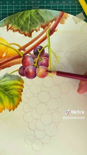 How to Draw Colorful Grapes: Step-by-Step Tutorial