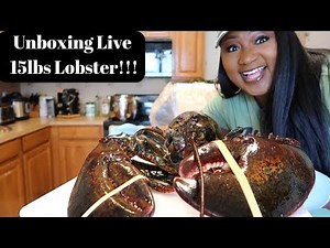 UNBOXING 15LB LIVE LOBSTER