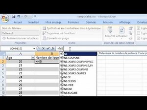 Excel 2007 tutoriel 12 - Compter de manière automatique des cellules