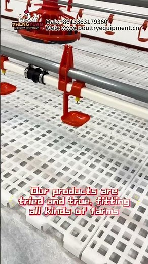 How to choose the most suitable feeding and drinking devices for chickens #poultry #chicken