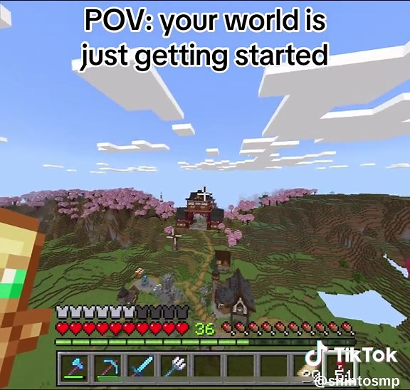 Creative Minecraft Building Ideas for Endless Worlds