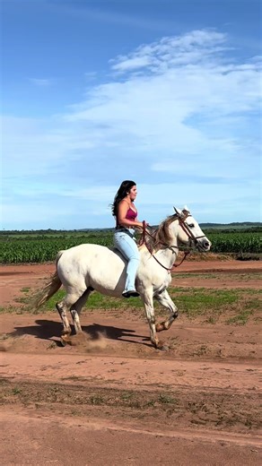 Os vídeos de Adriele jope (@adri_jope) com Receita de Amar / O Amor Não é Paixão (Ao Vivo) - Diego & Arnaldo