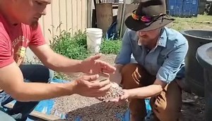 20 reactions · 4 comments | Explore how our Permian Era Fossil Dig...