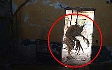 5 WEREWOLF CAUGHT ON CAMERA & SPOTTED IN REAL LIFE!