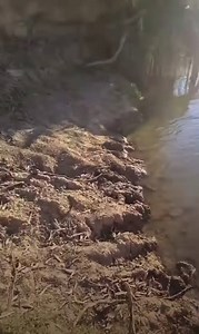 2.2M views · 7.9K reactions | This is a classic. A couple of people...