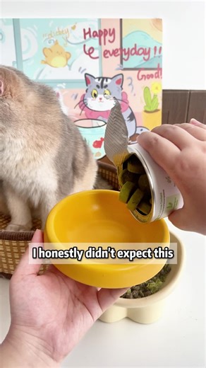 Effective Hairball Control for Your Cat