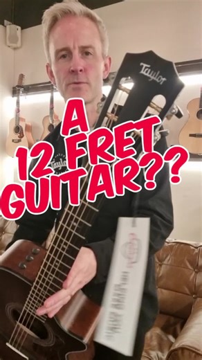 Taylor 322 CE: Compact Acoustic with 12 Frets