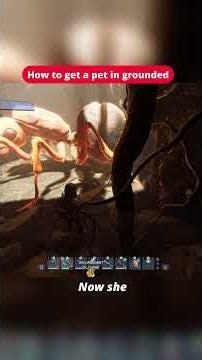 How to get a pet in grounded #groundedgame #groundedgameplay #grounded #vtuber #pigeon