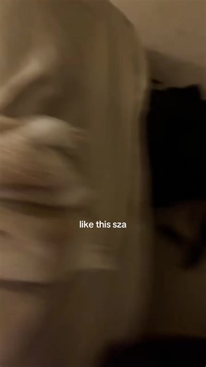 BREE CONNERS (@breeconners)’s video of nobody gets me sza