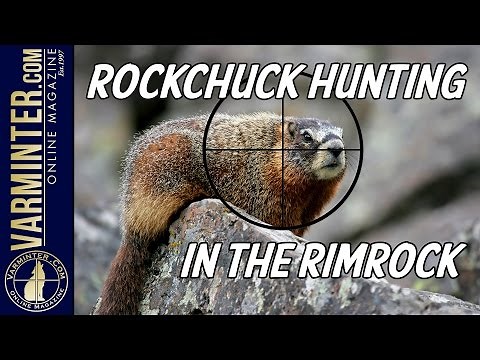 Rockchuck Hunting in the Rimrock