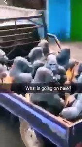 92K views · 2.8K reactions | h | ghost cuck | Facebook