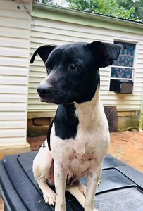 13K views · 1K reactions | The mama with a heart on her chest… and...