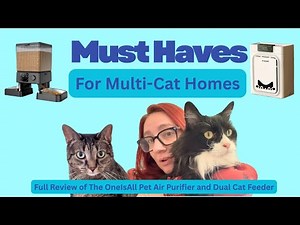Must Haves For Multi-cat Homes: Full Review of the OneIsAll Pet Air Purifier and Duel Bowl Feeder
