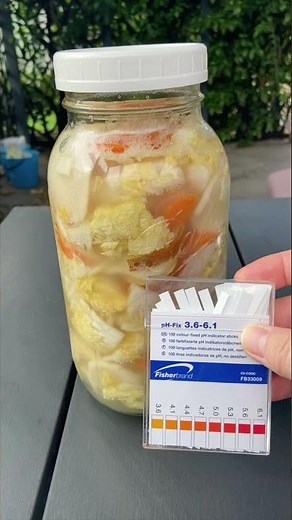 Would your dog eat KIMCHI? Mine did.