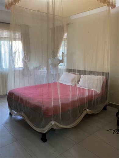 Luxury Ceiling Mosquito Nets for Your Home