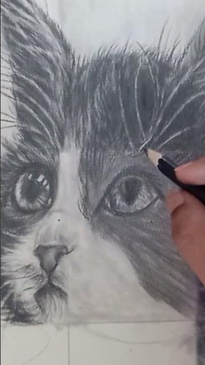 How to Draw a Realistic Cat Eye 🐱# Keziah's art journey