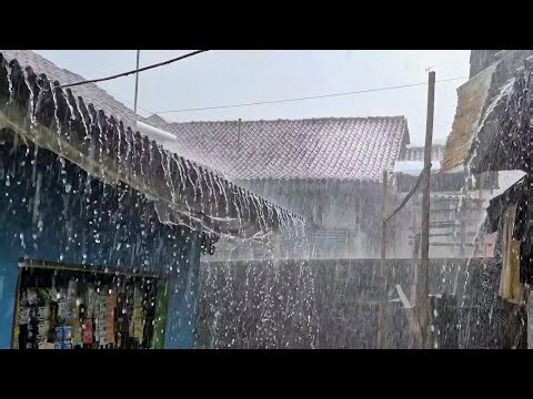 LIVE Super Heavy Tropical Rain on Village Roof | Pure Rain Ambience