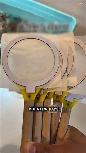 Kid Wins Paper Net Fishing ❤️‍🩹