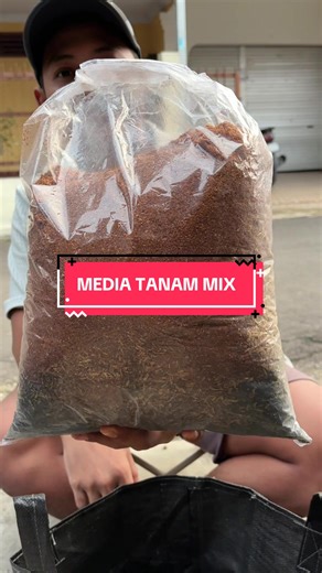Understanding Media Tanam Mix for Plant Growth