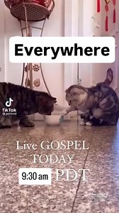 Live everywhere 9:30 AM pt Gospel & Christmas & some fun. Any requests? #paulgreene #paulgreenemusic #livestream | Paul Greene